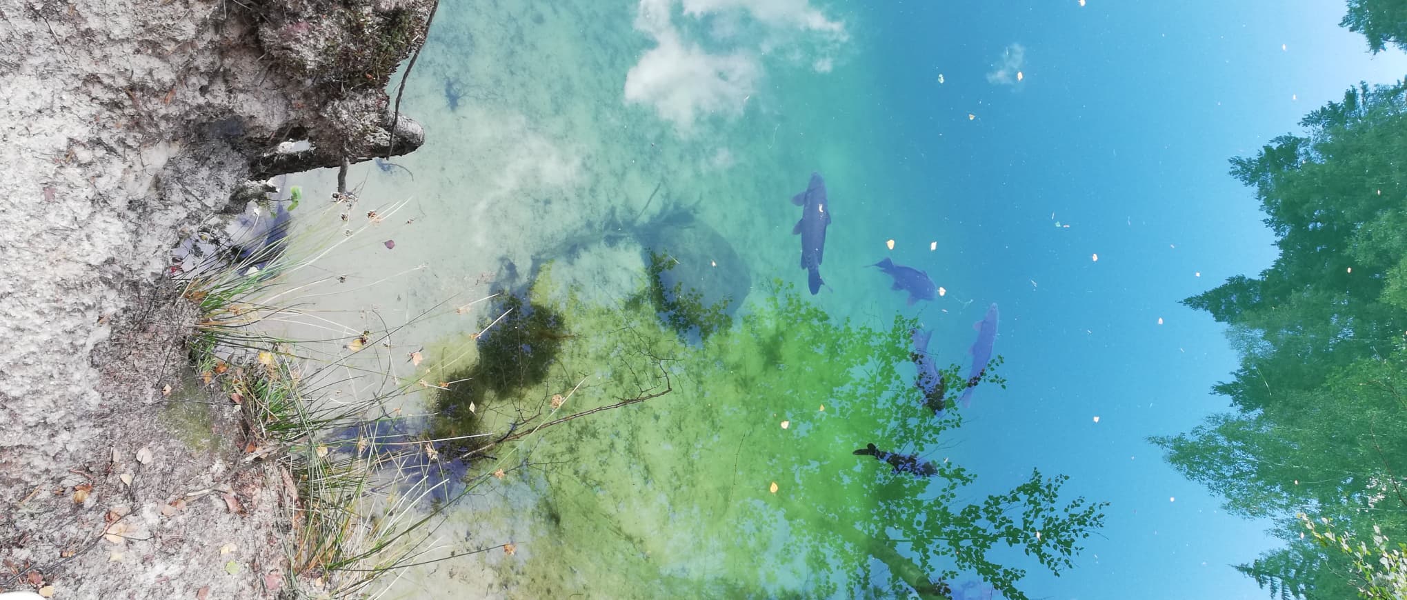 Timezone handling pitfalls - part 2