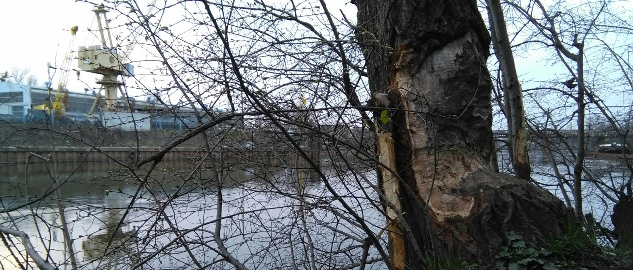 Comparison of Dependency Injection Libraries in Python, and my favorite one